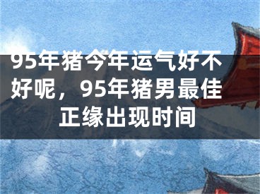 95年猪今年运气好不好呢，95年猪男最佳正缘出现时间