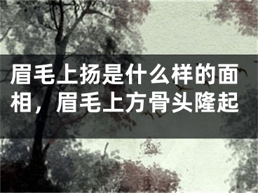眉毛上扬是什么样的面相，眉毛上方骨头隆起