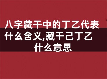 八字藏干中的丁乙代表什么含义,藏干己丁乙什么意思