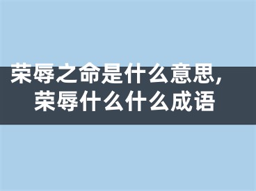 荣辱之命是什么意思,荣辱什么什么成语