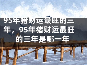 95年猪财运最旺的三年，95年猪财运最旺的三年是哪一年
