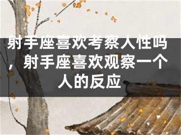 射手座喜欢考察人性吗，射手座喜欢观察一个人的反应