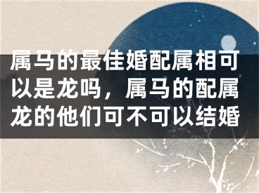 属马的最佳婚配属相可以是龙吗,属马的配属龙的他们可不可以结婚