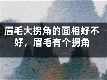 眉毛大拐角的面相好不好,眉毛有个拐角