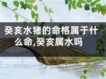 癸亥水猪的命格属于什么命,癸亥属水吗