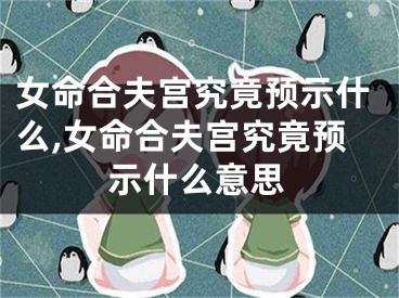 女命合夫宫究竟预示什么,女命合夫宫究竟预示什么意思