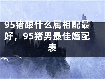 95猪跟什么属相配最好，95猪男最佳婚配表