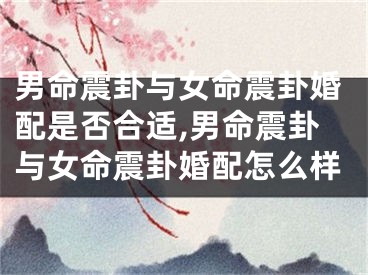 男命震卦与女命震卦婚配是否合适,男命震卦与女命震卦婚配怎么样