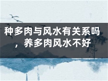 种多肉与风水有关系吗，养多肉风水不好