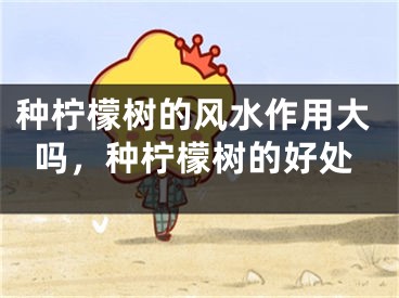 种柠檬树的风水作用大吗，种柠檬树的好处