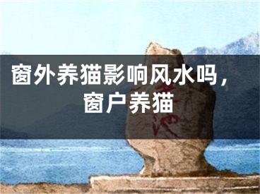 窗外养猫影响风水吗，窗户养猫