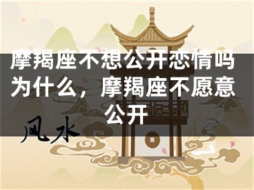 摩羯座不想公开恋情吗为什么，摩羯座不愿意公开