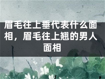 眉毛往上垂代表什么面相，眉毛往上翘的男人面相