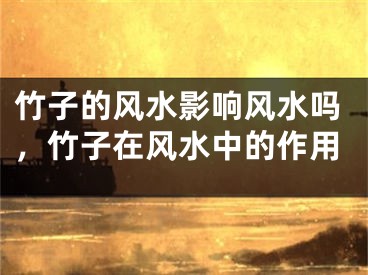 竹子的风水影响风水吗，竹子在风水中的作用