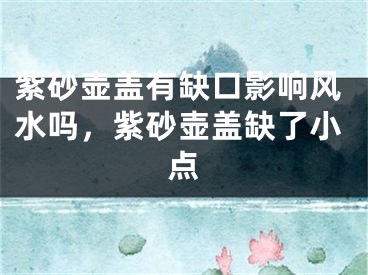 紫砂壶盖有缺口影响风水吗，紫砂壶盖缺了小点