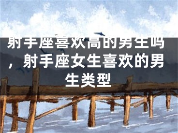 射手座喜欢高的男生吗，射手座女生喜欢的男生类型