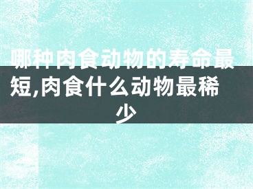 哪种肉食动物的寿命最短,肉食什么动物最稀少
