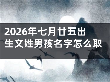 2026年七月廿五出生文姓男孩名字怎么取