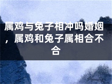 属鸡与兔子相冲吗婚姻，属鸡和兔子属相合不合