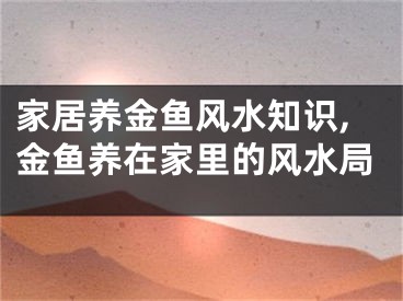 家居养金鱼风水知识,金鱼养在家里的风水局