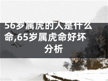 56岁属虎的人是什么命,65岁属虎命好坏分析