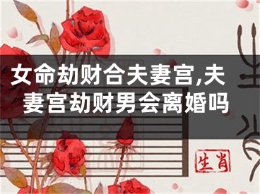 女命劫财合夫妻宫,夫妻宫劫财男会离婚吗