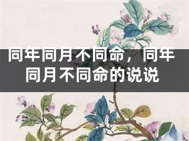 同年同月不同命，同年同月不同命的说说