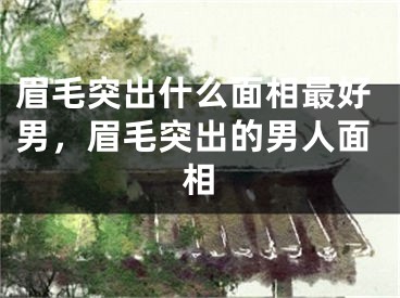 眉毛突出什么面相最好男，眉毛突出的男人面相