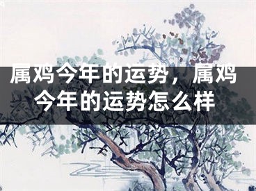 属鸡今年的运势，属鸡今年的运势怎么样