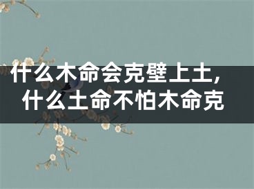 什么木命会克壁上土,什么土命不怕木命克