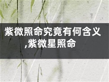 紫微照命究竟有何含义,紫微星照命