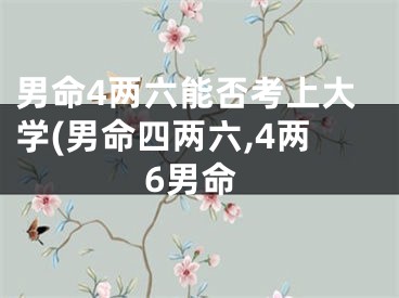 男命4两六能否考上大学(男命四两六,4两6男命