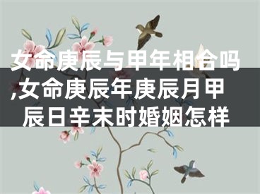 女命庚辰与甲年相合吗,女命庚辰年庚辰月甲辰日辛末时婚姻怎样