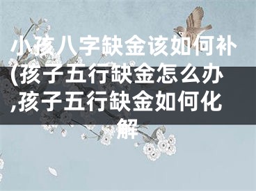 小孩八字缺金该如何补(孩子五行缺金怎么办,孩子五行缺金如何化解