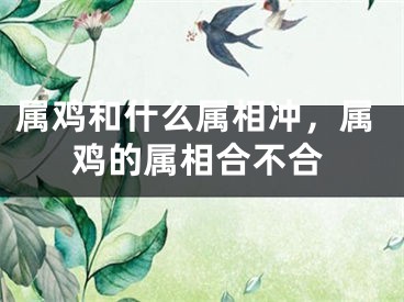 属鸡和什么属相冲，属鸡的属相合不合