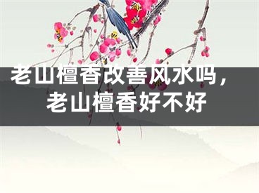老山檀香改善风水吗，老山檀香好不好
