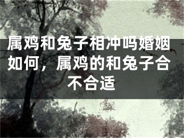 属鸡和兔子相冲吗婚姻如何，属鸡的和兔子合不合适