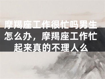 摩羯座工作很忙吗男生怎么办，摩羯座工作忙起来真的不理人么