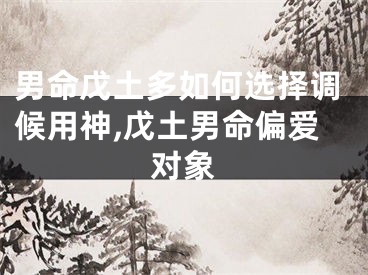 男命戊土多如何选择调候用神,戊土男命偏爱对象