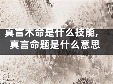 真言术命是什么技能,真言命题是什么意思
