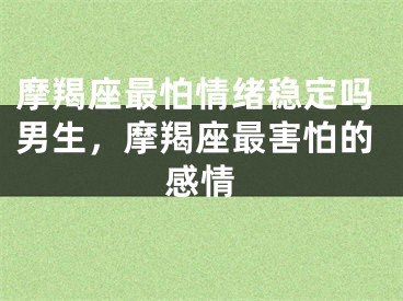 摩羯座最怕情绪稳定吗男生,摩羯座最害怕的感情