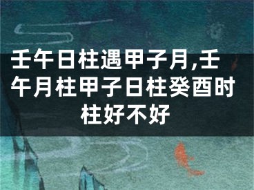 壬午日柱遇甲子月,壬午月柱甲子日柱癸酉时柱好不好