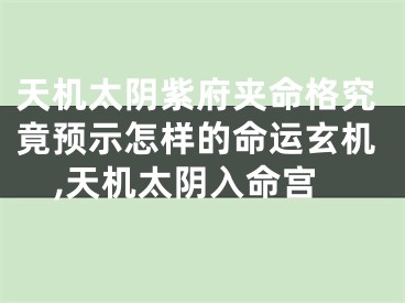 天机太阴紫府夹命格究竟预示怎样的命运玄机,天机太阴入命宫