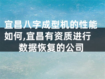 宜昌八字成型机的性能如何,宜昌有资质进行数据恢复的公司