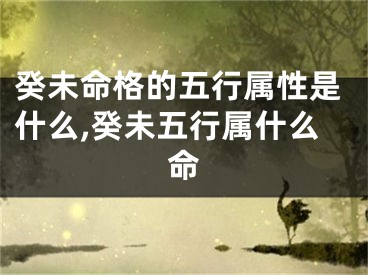 癸未命格的五行属性是什么,癸未五行属什么命