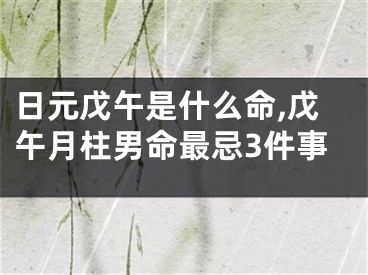 日元戊午是什么命,戊午月柱男命最忌3件事