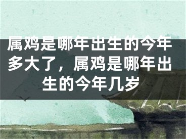 属鸡是哪年出生的今年多大了，属鸡是哪年出生的今年几岁
