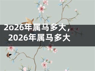 2o26年属马多大，2026年属马多大