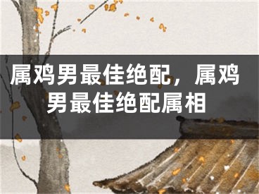属鸡男最佳绝配，属鸡男最佳绝配属相
