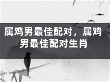 属鸡男最佳配对，属鸡男最佳配对生肖